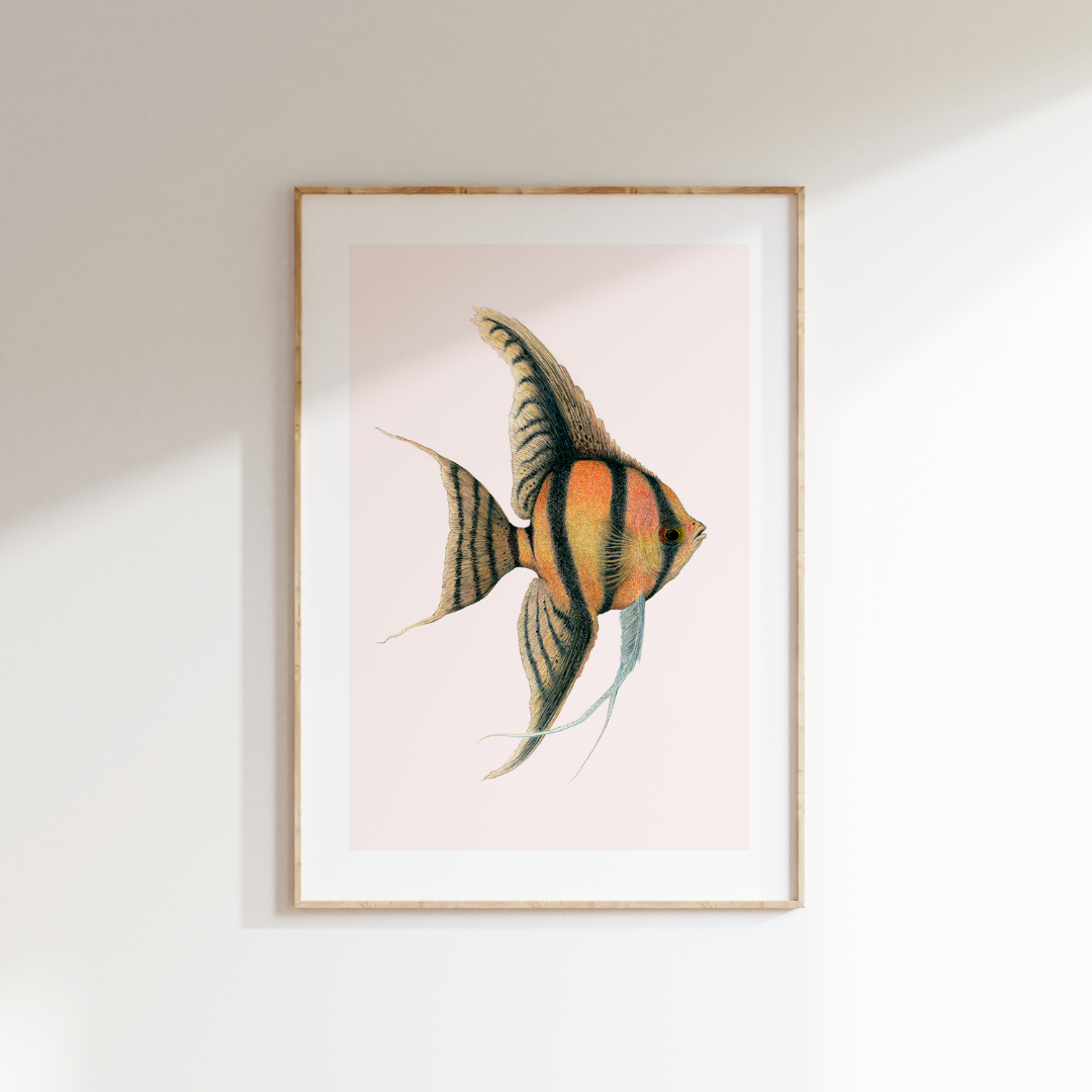 Fine art print JUPITER