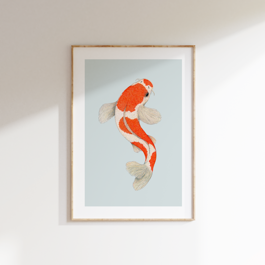 Fine art print KOHAKU KOI
