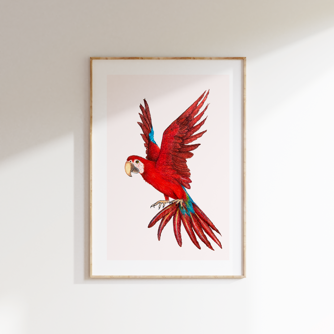 Fine art print RED