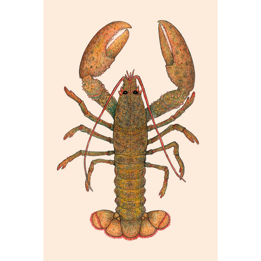 Fine art print LARRY