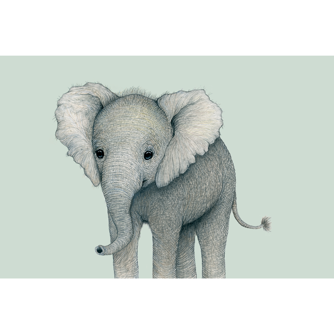 Fine art print OLIVIER