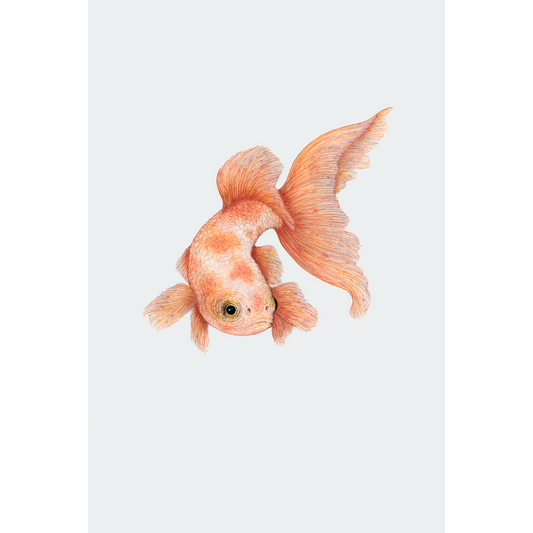 Fine art print GOLDFISH no. 3