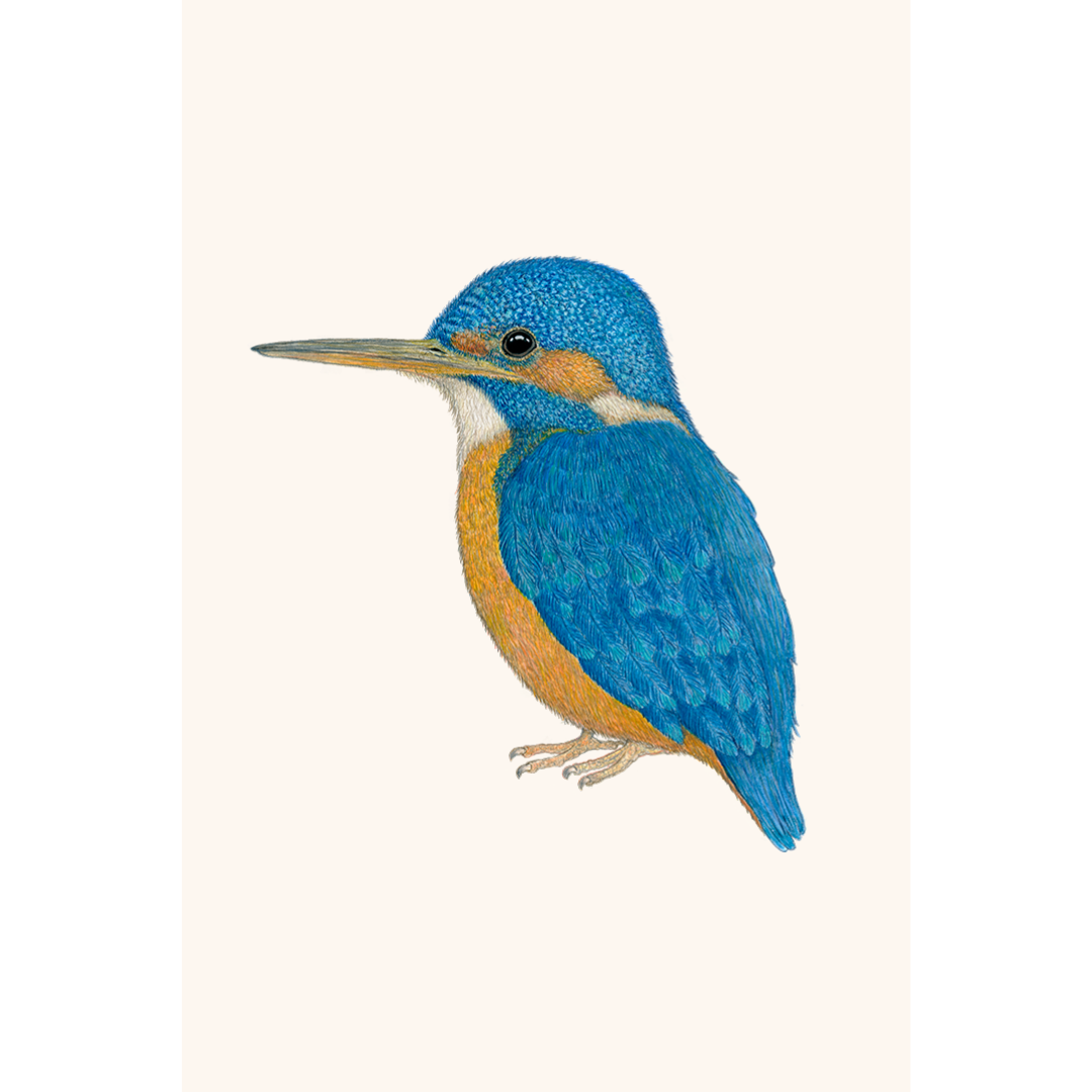 Fine art print BLUE