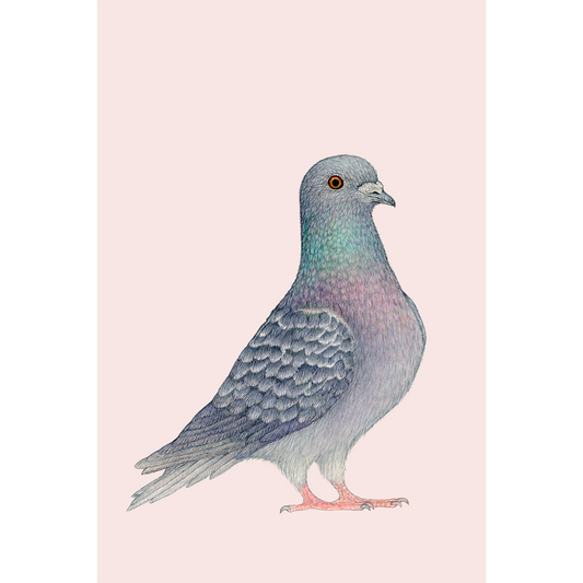 Fine art print SJAAK