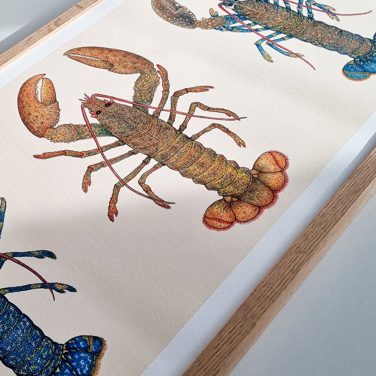 Special: fine art print BUTTER `EM UP inclusief lijst