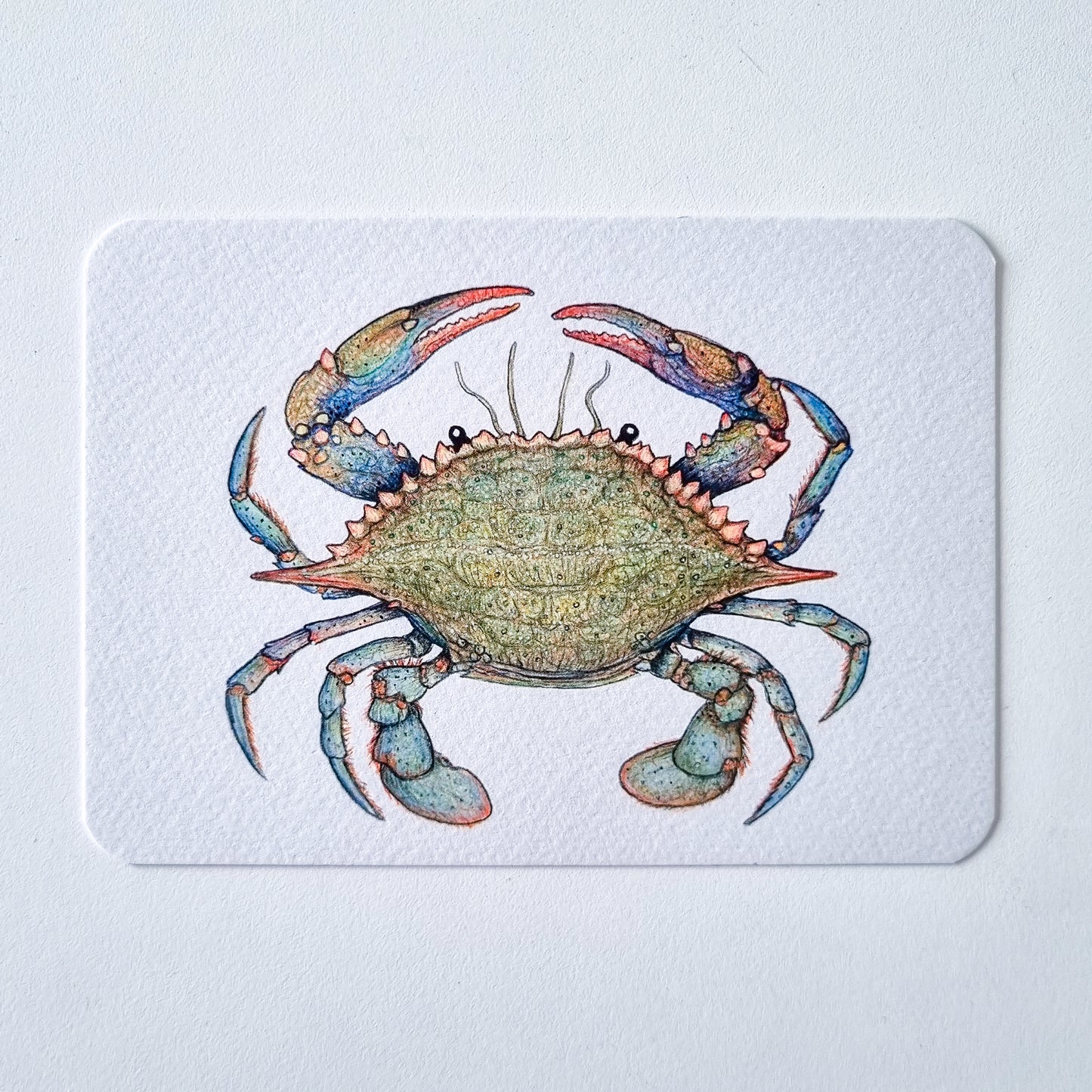 Postcard OH, CRAB!