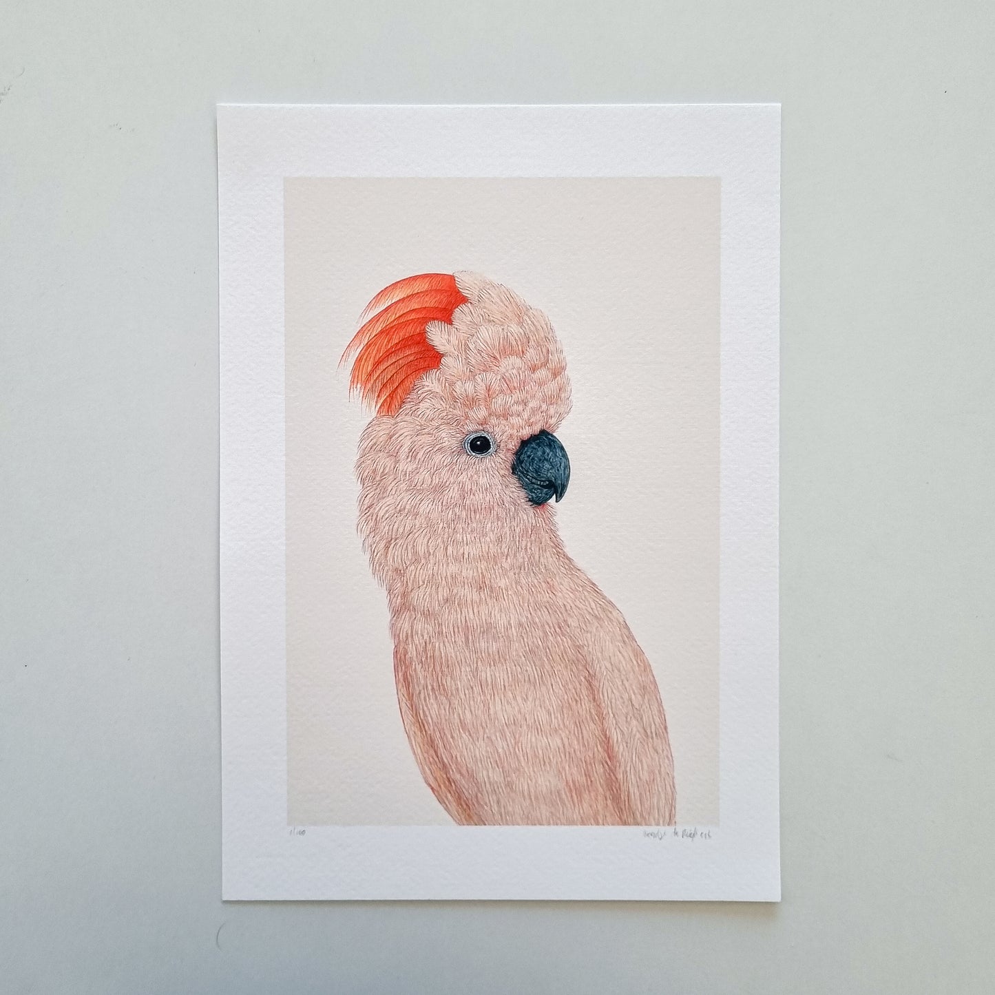Fine art print SHELBY