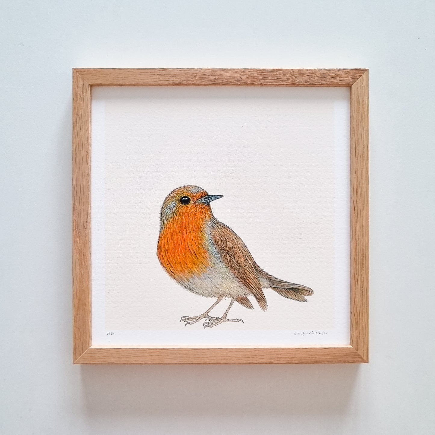 Special: fine art print ROBIN II inclusief lijst