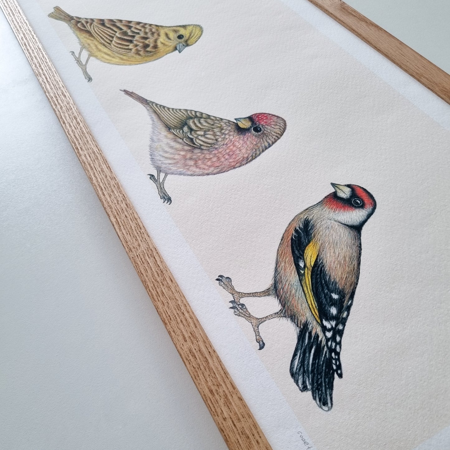 Special: fine art print LITTLE BIRDS OF THE SMALL COUNCIL: part one inclusief lijst