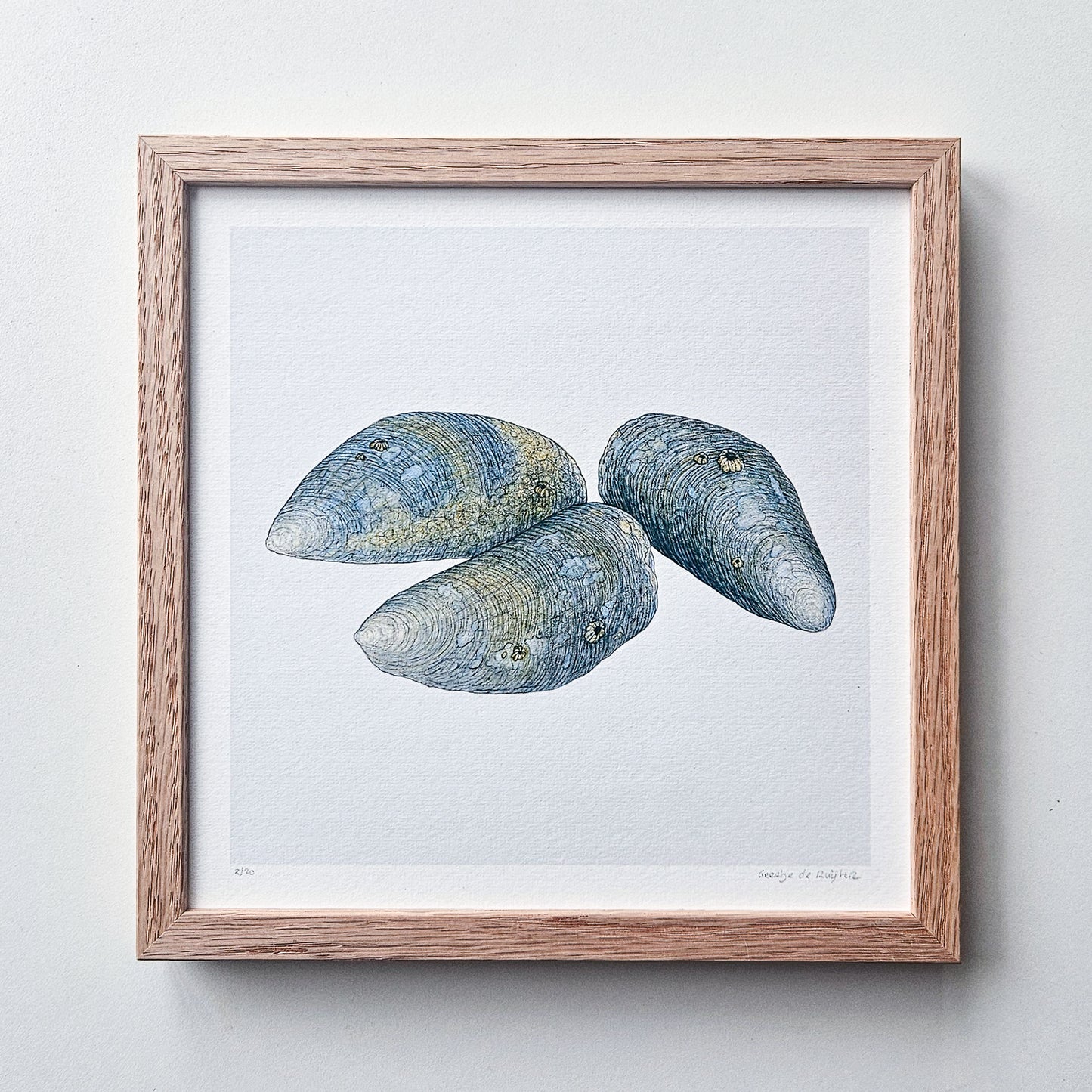 Special: fine art print LOOK AT MY MUSSELS