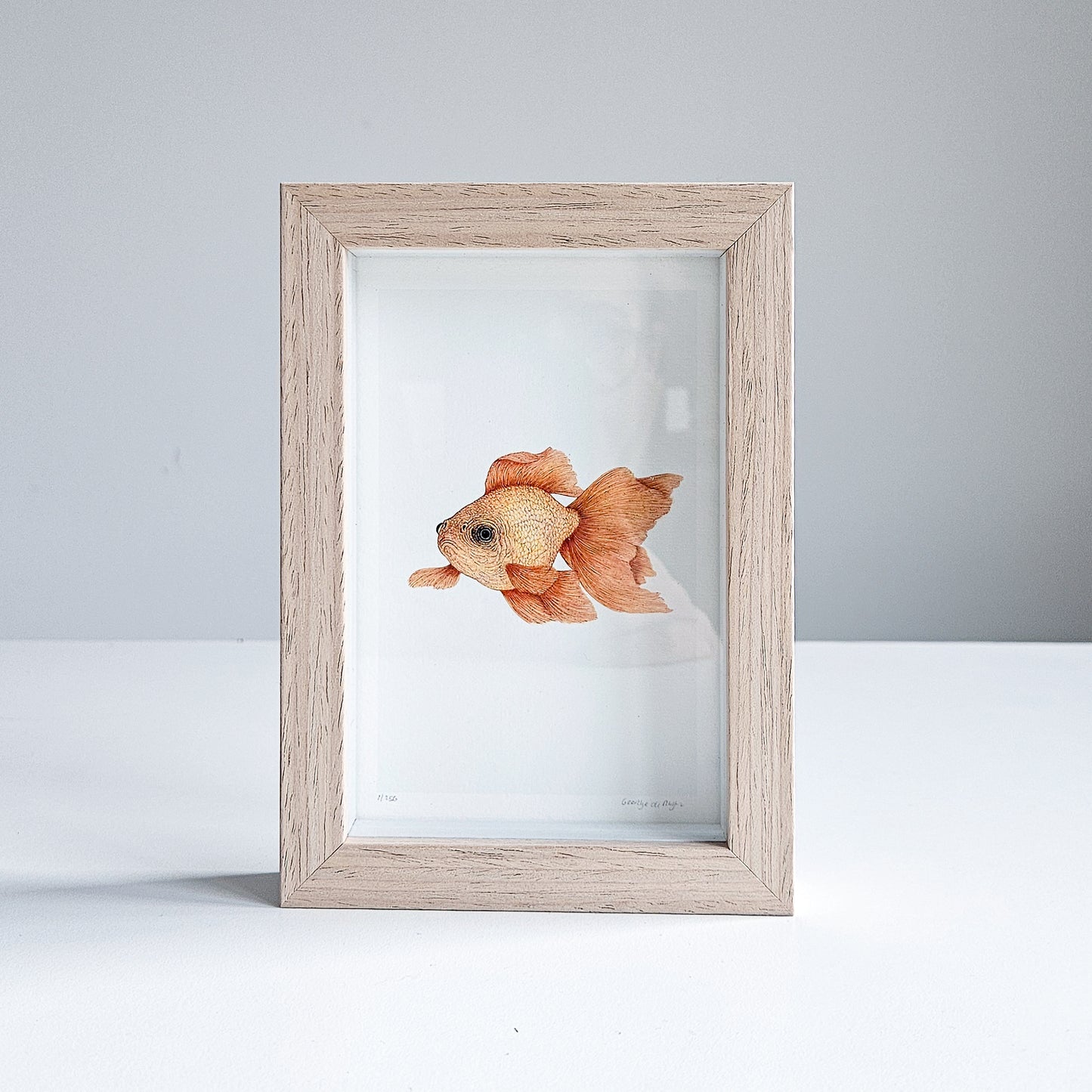 Art mini GOLDFISH no. 2