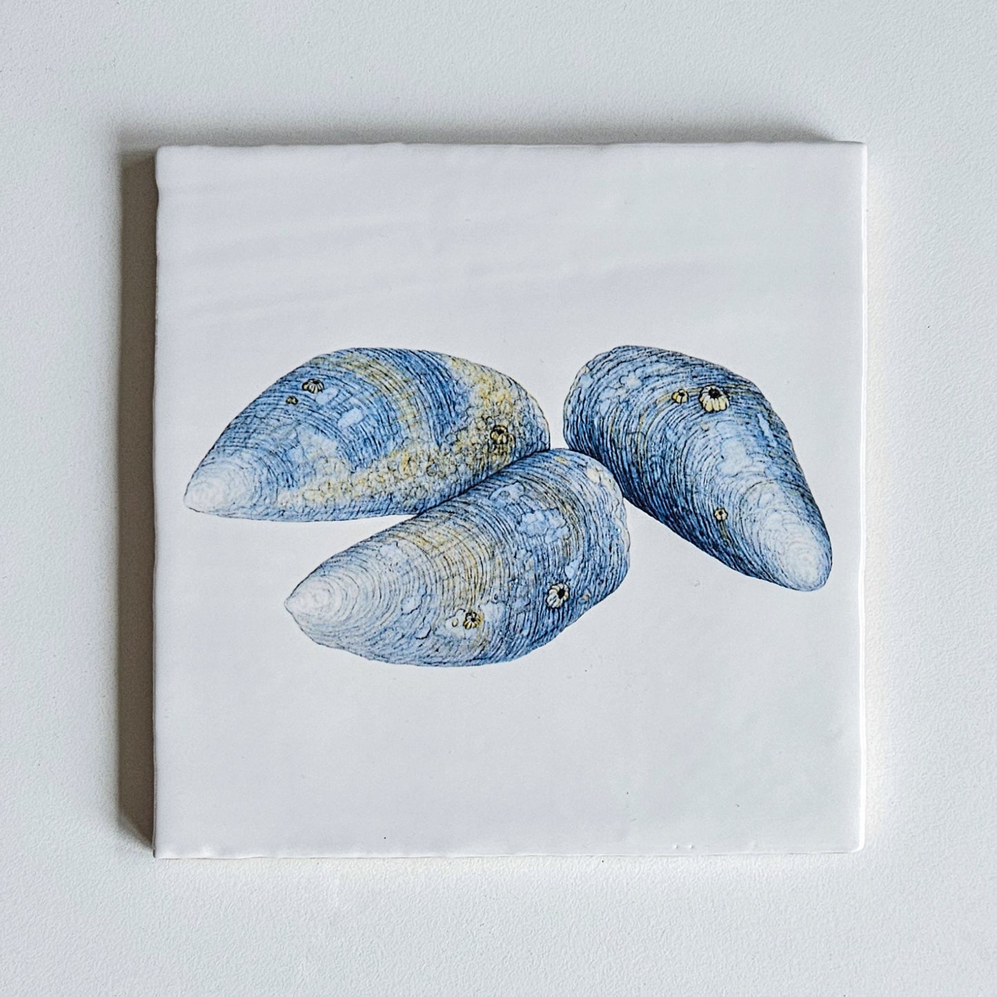 Art tile LOOK AT MY MUSSELS