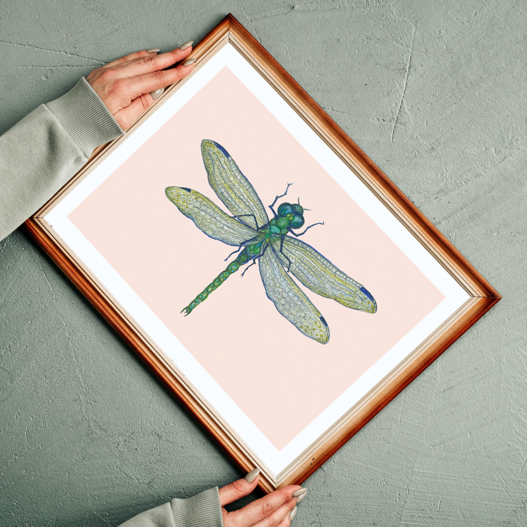Fine art print LIBELULA