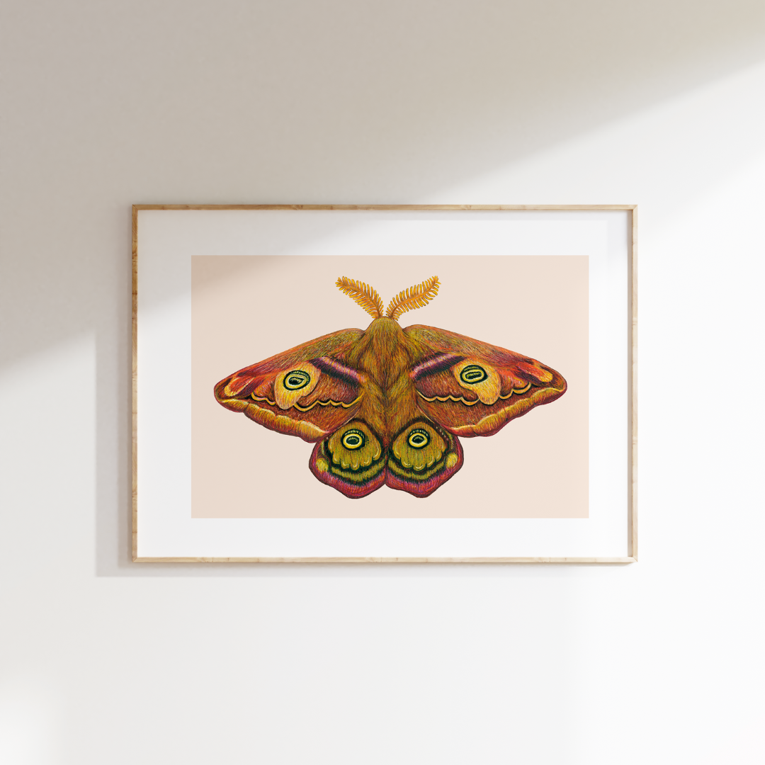 Fine art print THE THIRD EMPEROR