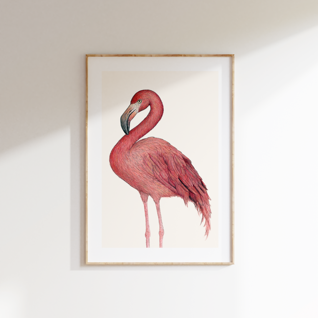 Fine art print DIEGO