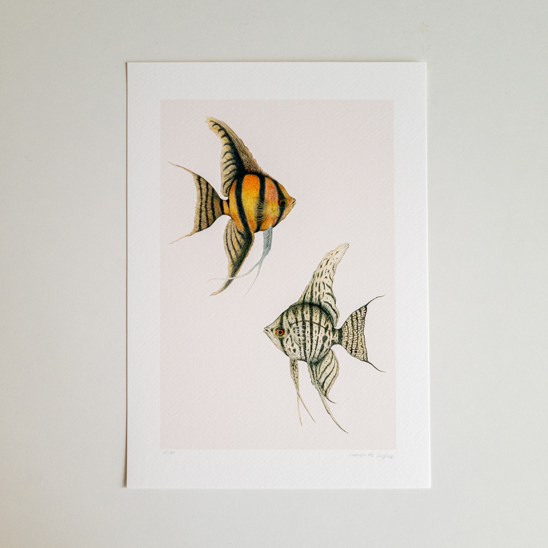 Fine art print TO THE MOON AND BACK