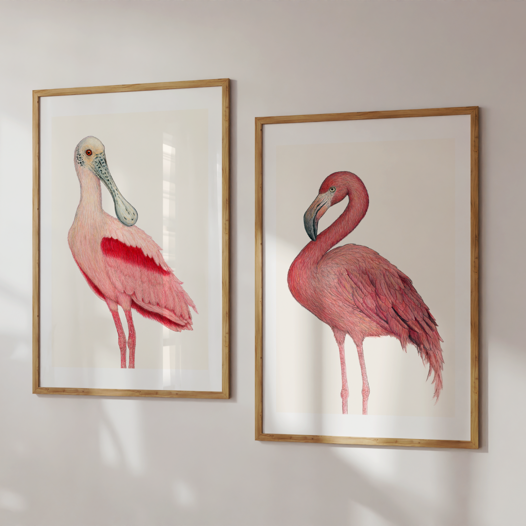 Fine art print DIEGO