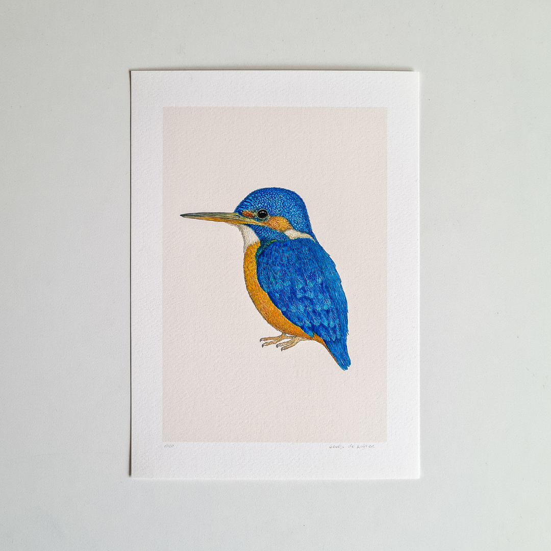 Fine art print BLUE