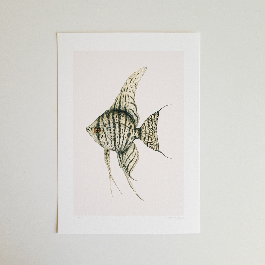 Fine art print JUNO
