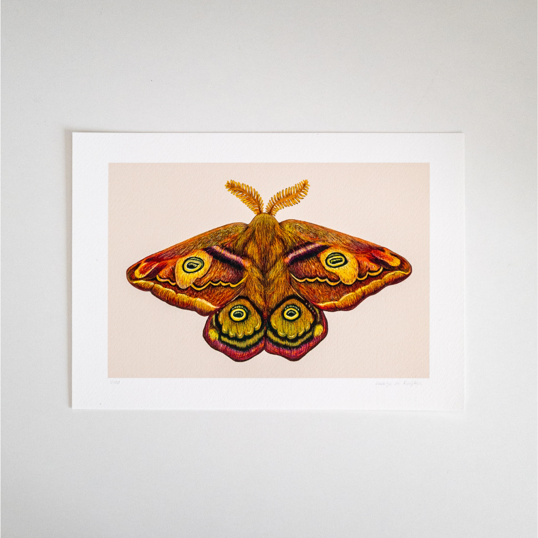 Fine art print THE THIRD EMPEROR