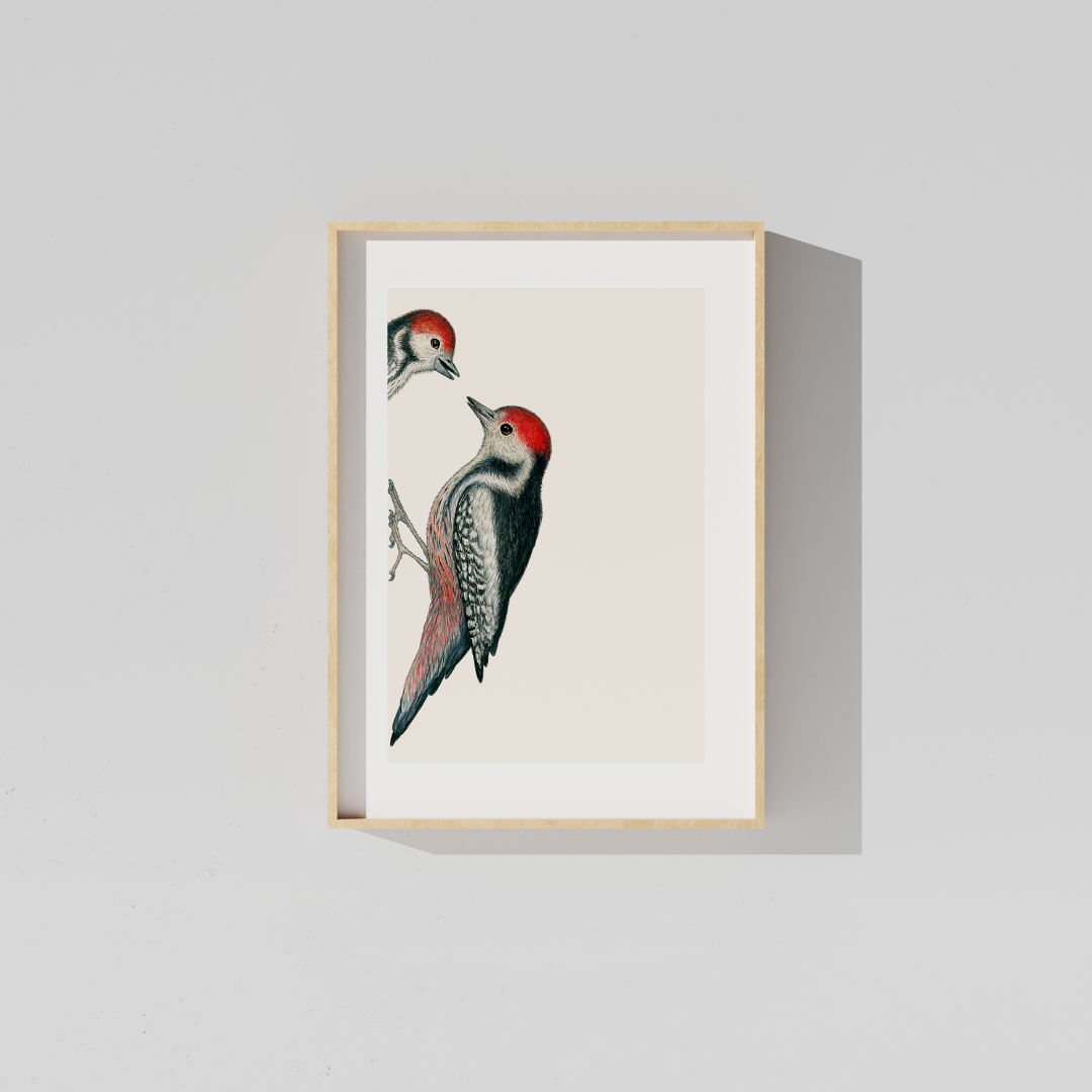 Fine art print KNOCK KNOCK, WHO'S THERE