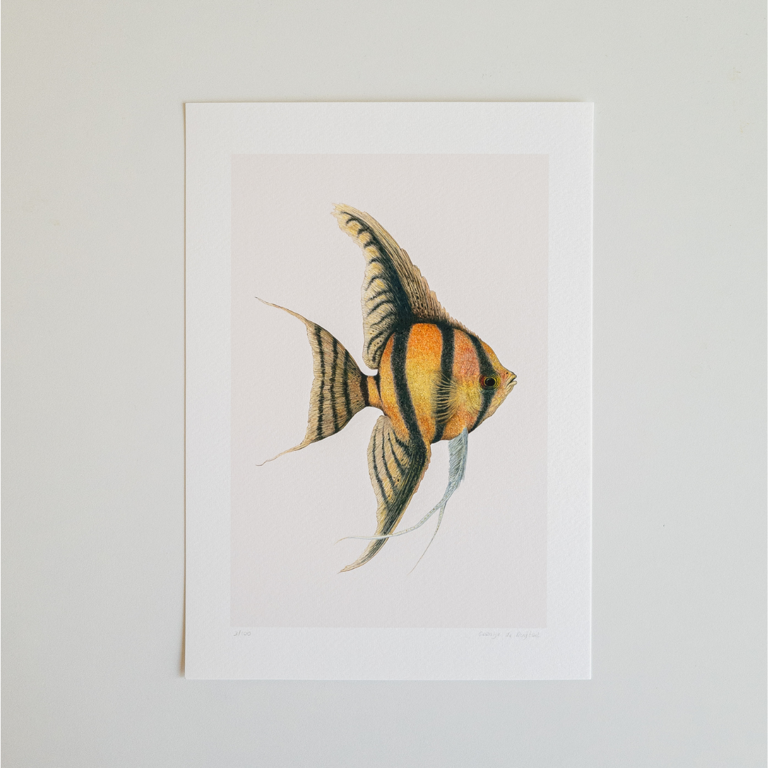 Fine art print JUPITER