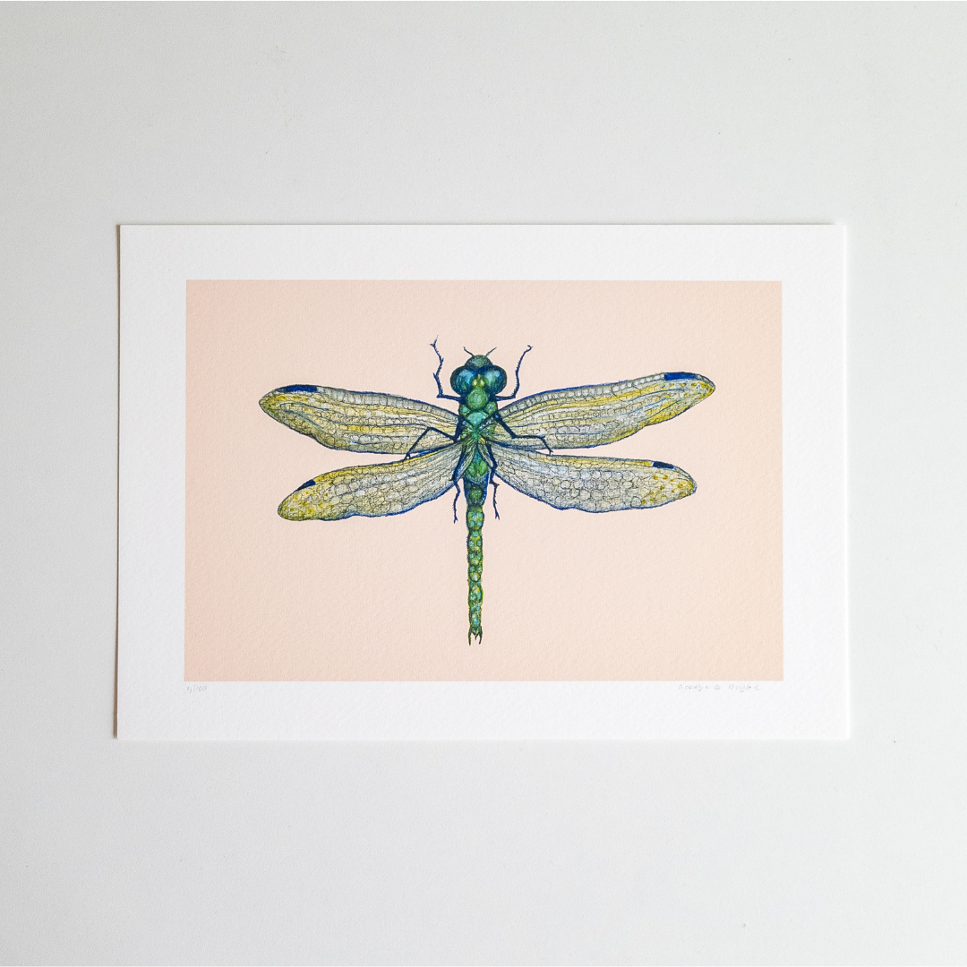 Fine art print LIBELULA