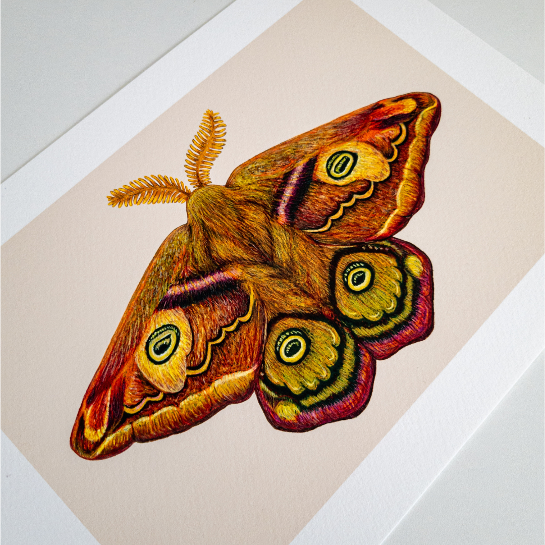 Fine art print THE THIRD EMPEROR