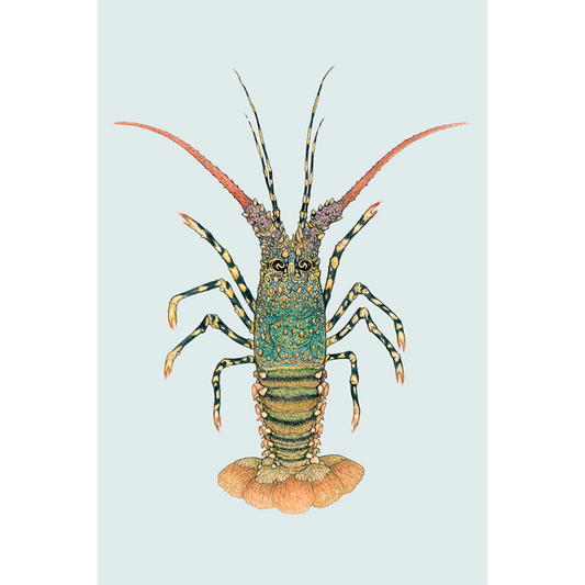 Fine art print ROCKY