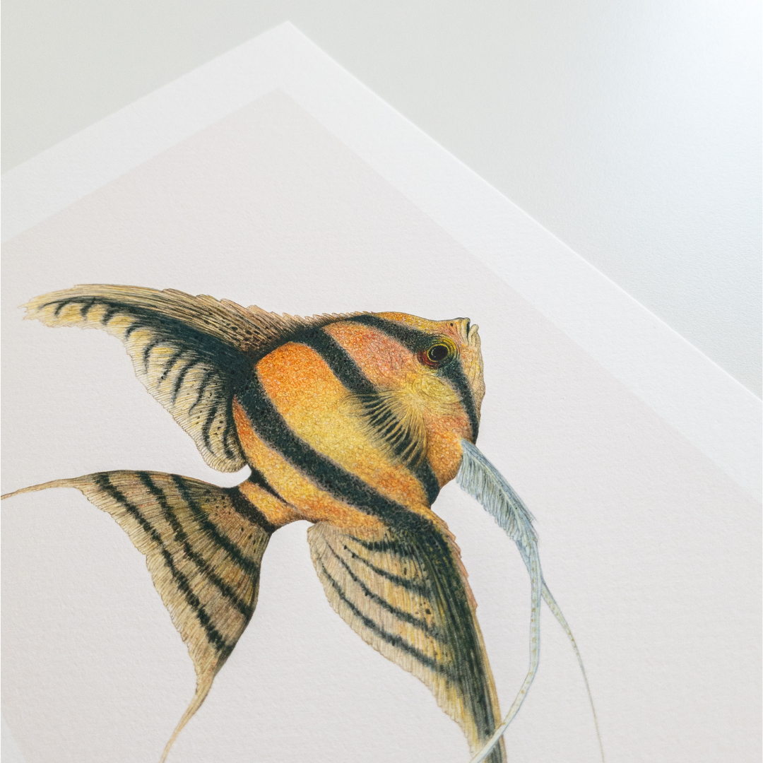 Fine art print JUPITER