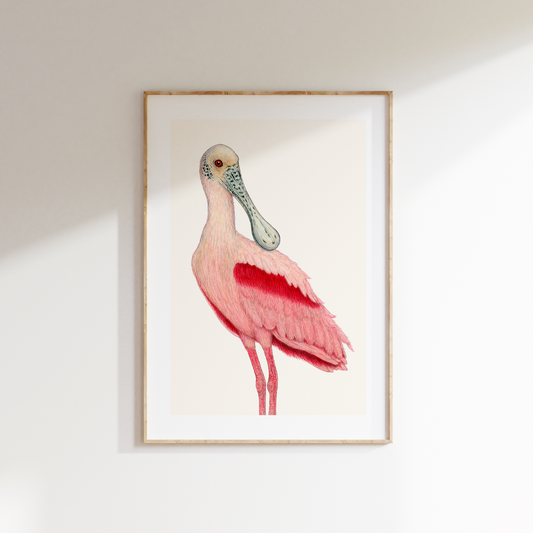 Fine art print BILL