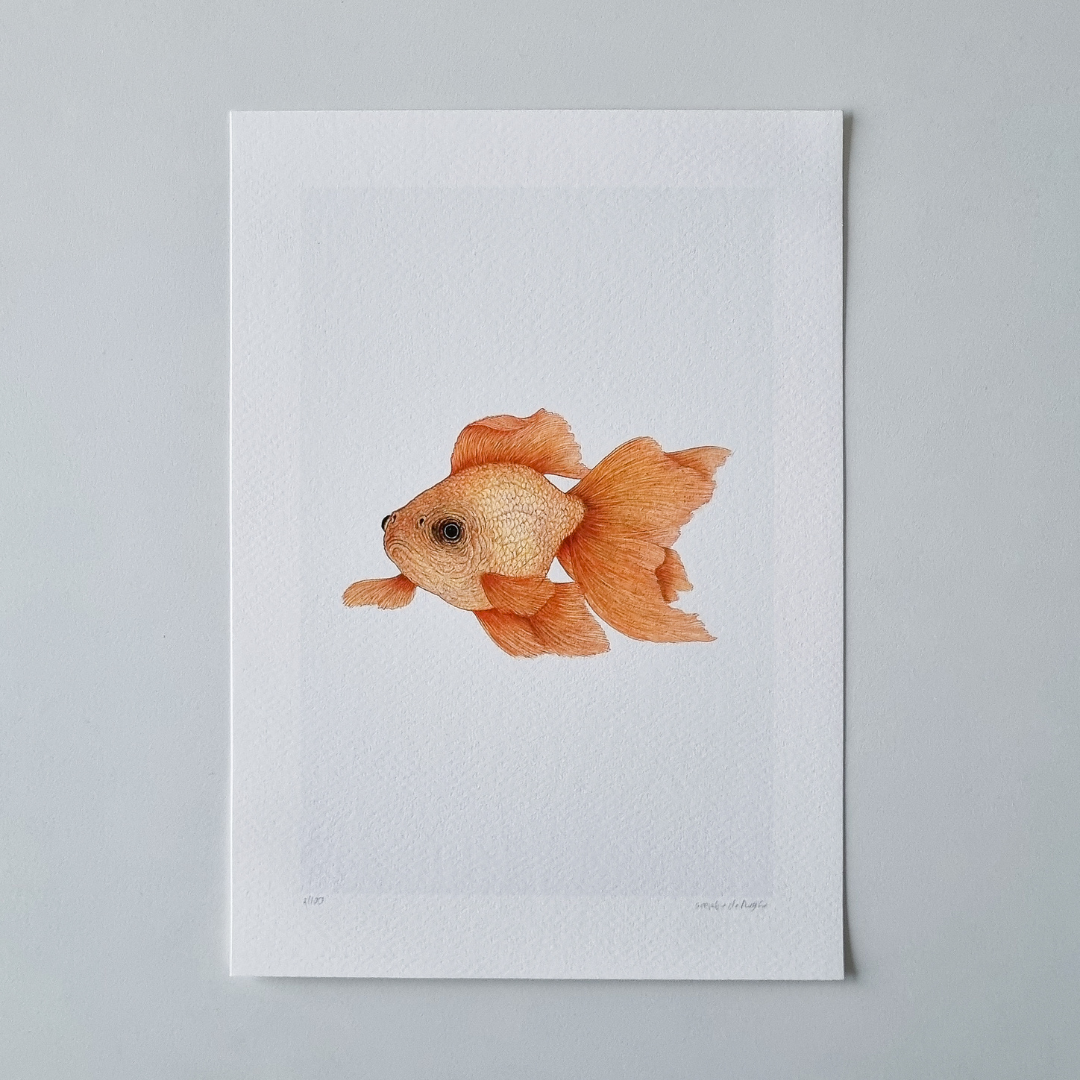 Fine art print GOLDFISH no. 2