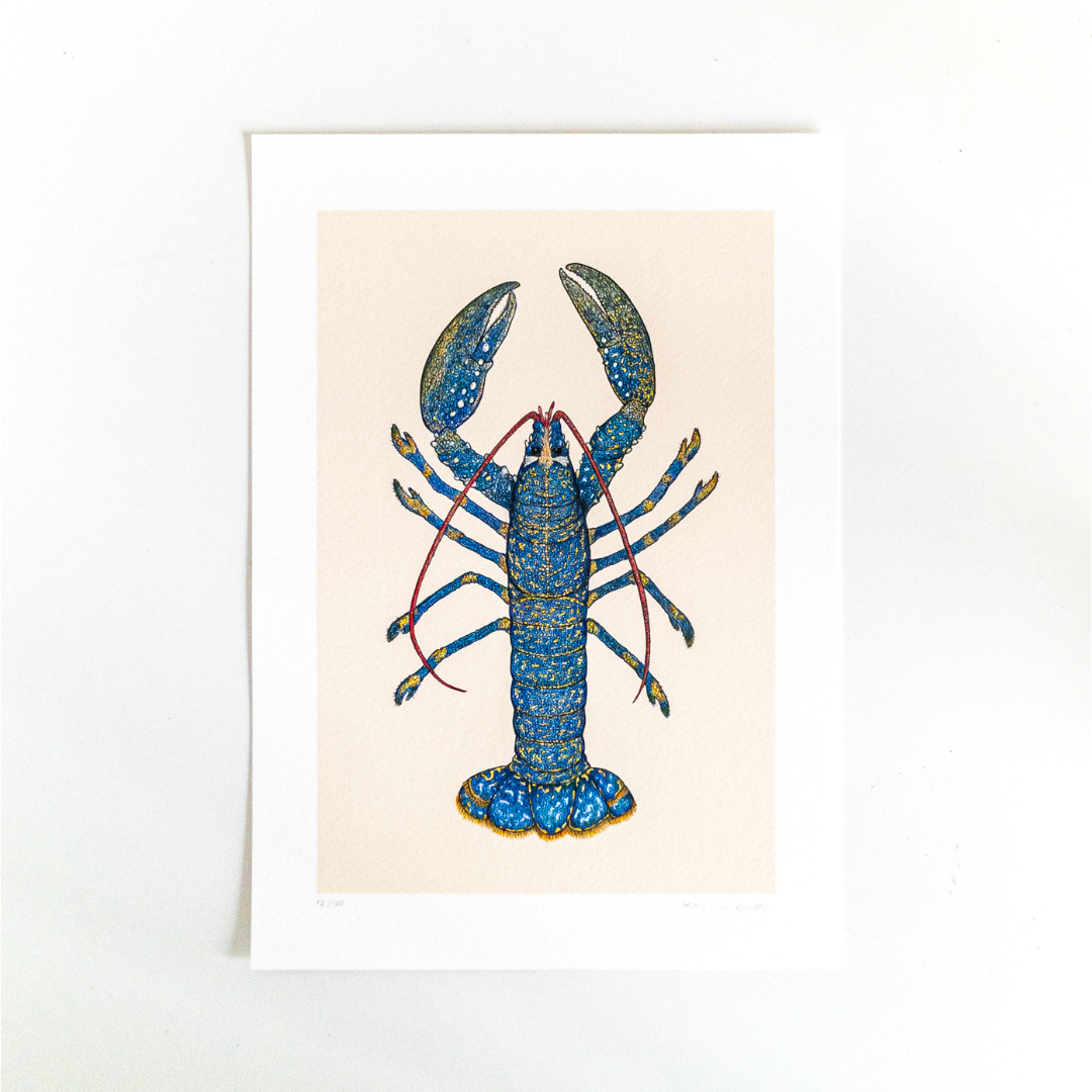 Fine art print LOUIS