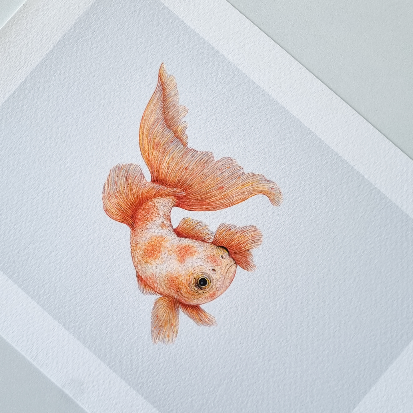 Fine art print GOLDFISH no. 3