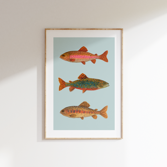 Fine art print FISH FRIDAY