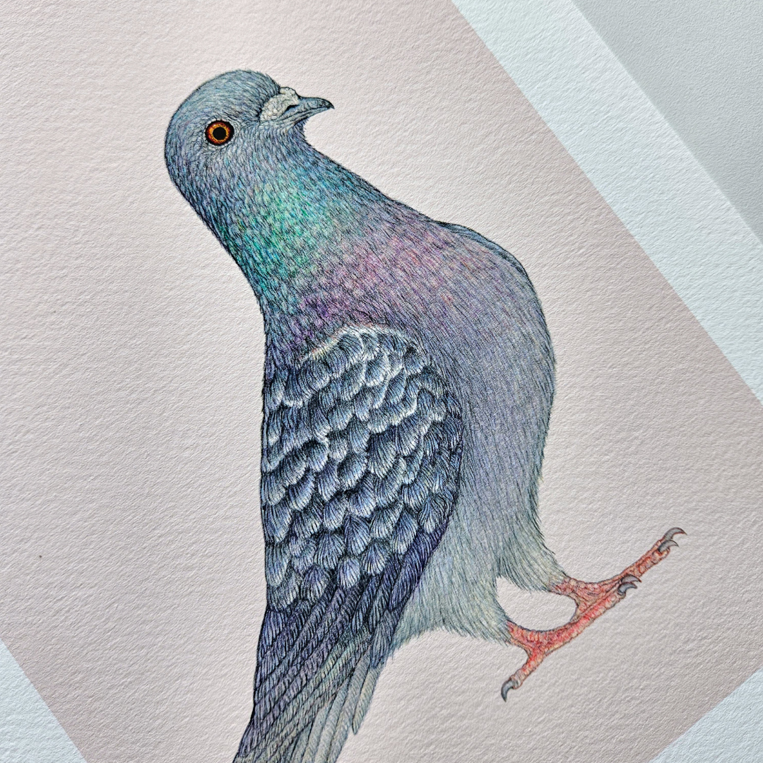 Fine art print SJAAK