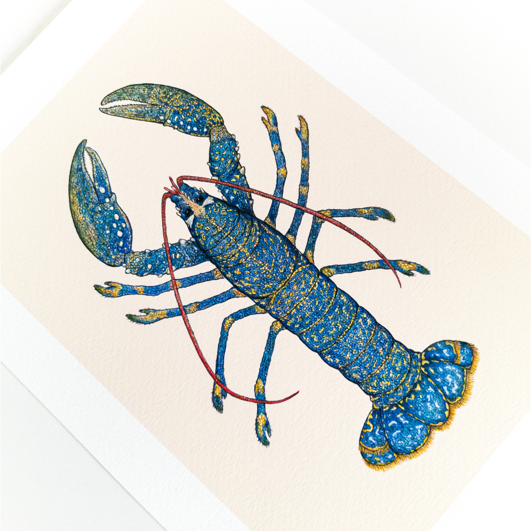 Fine art print LOUIS