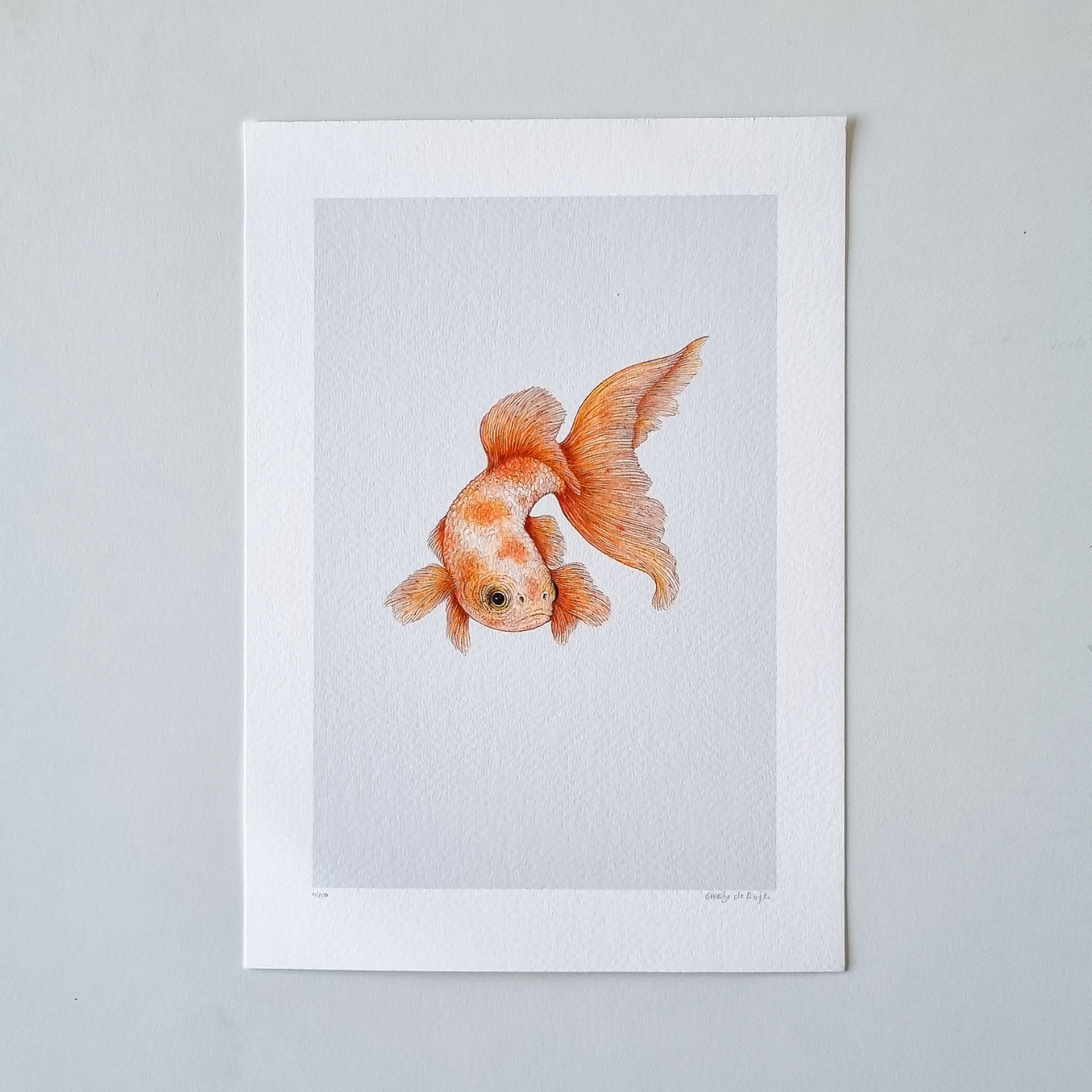 Fine art print GOLDFISH no. 3