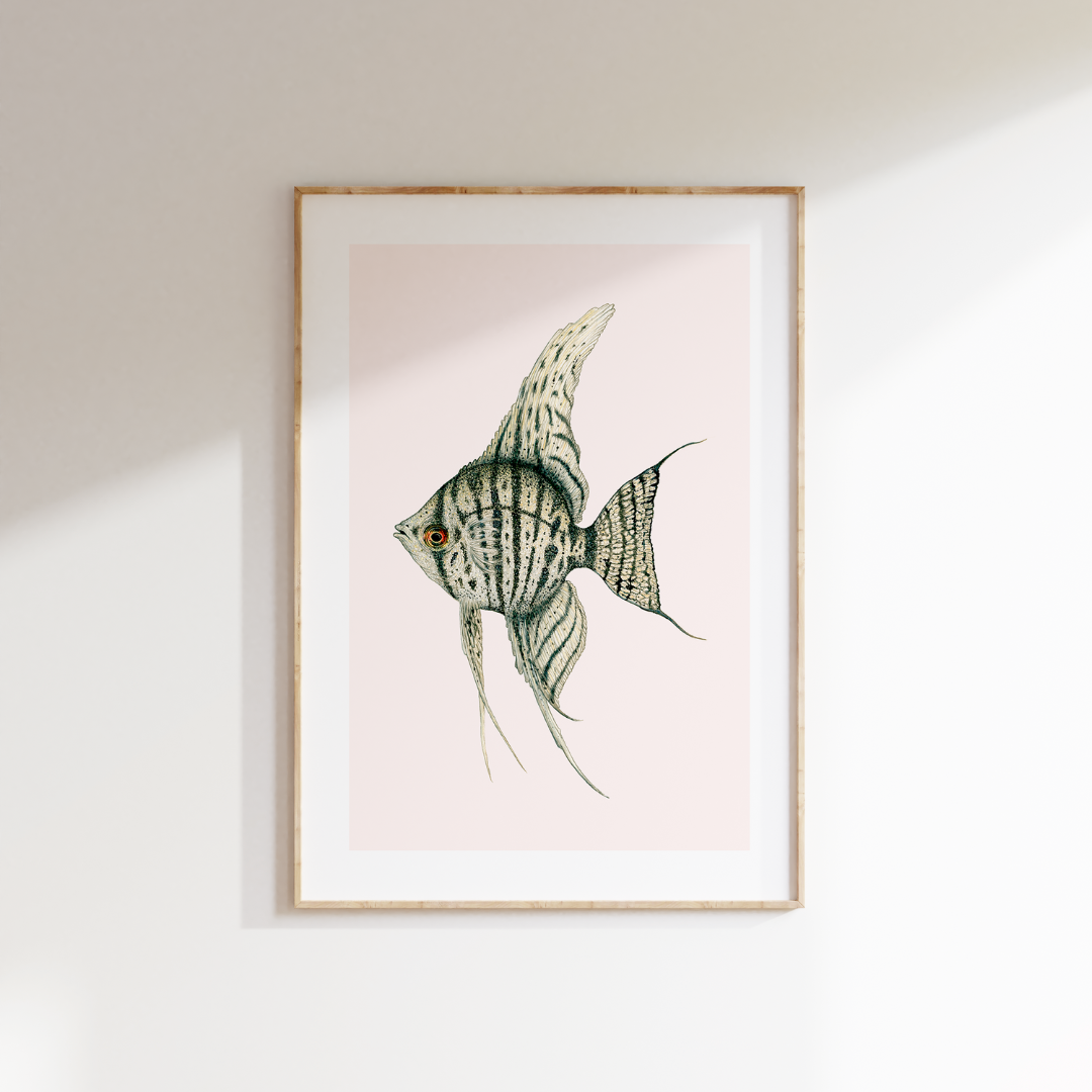 Fine art print JUNO