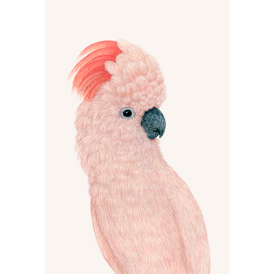 Fine art print SHELBY