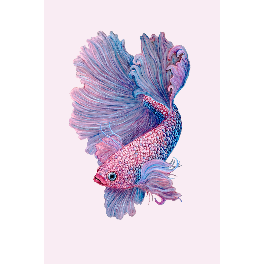 Fine art print BETTA