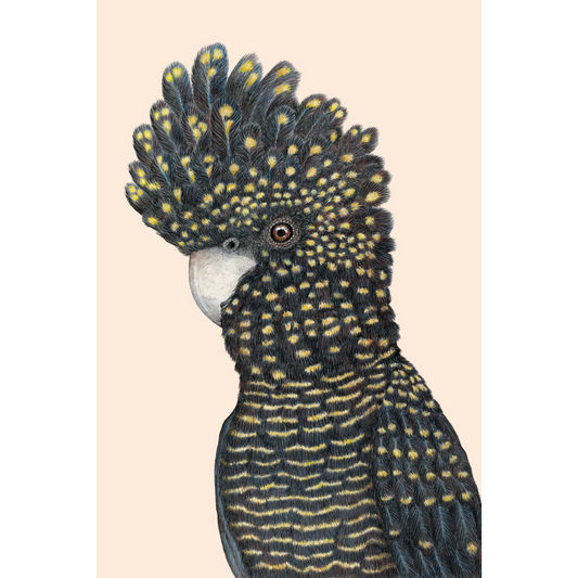 Fine art print LENNON