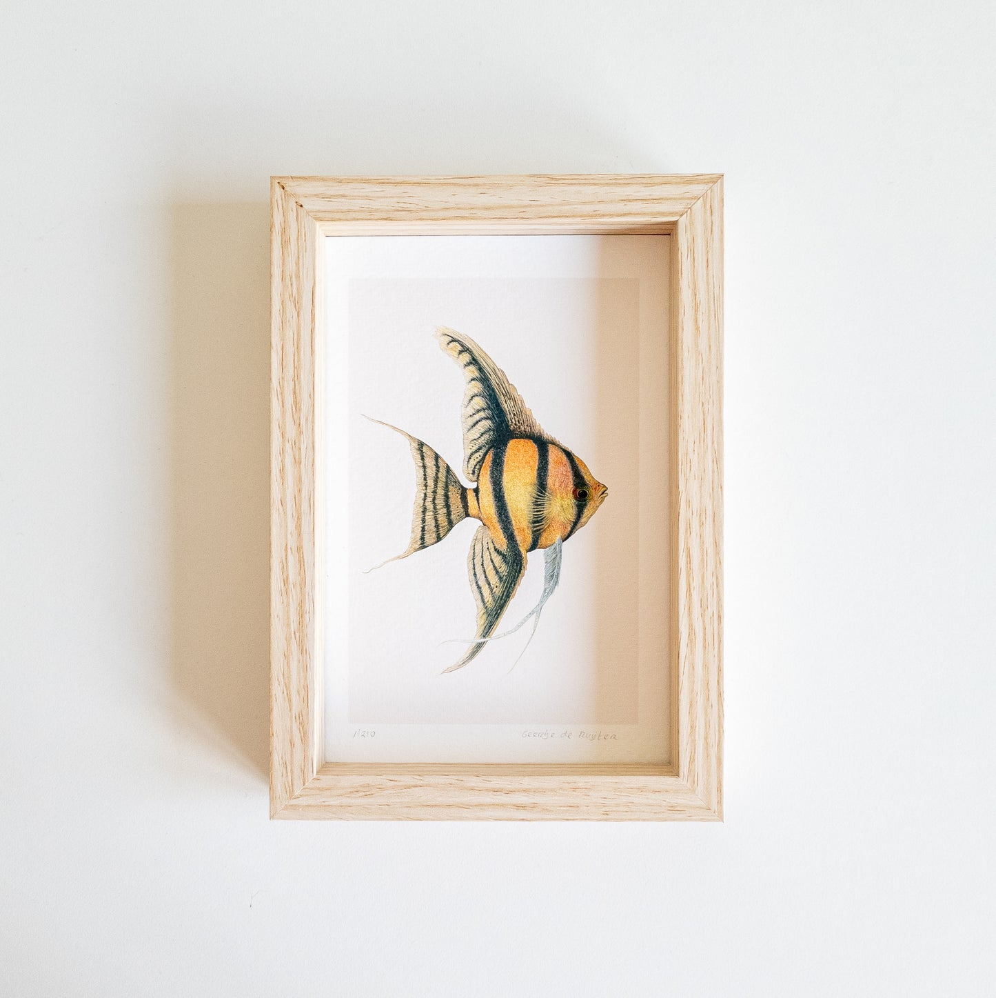 Art mini JUPITER