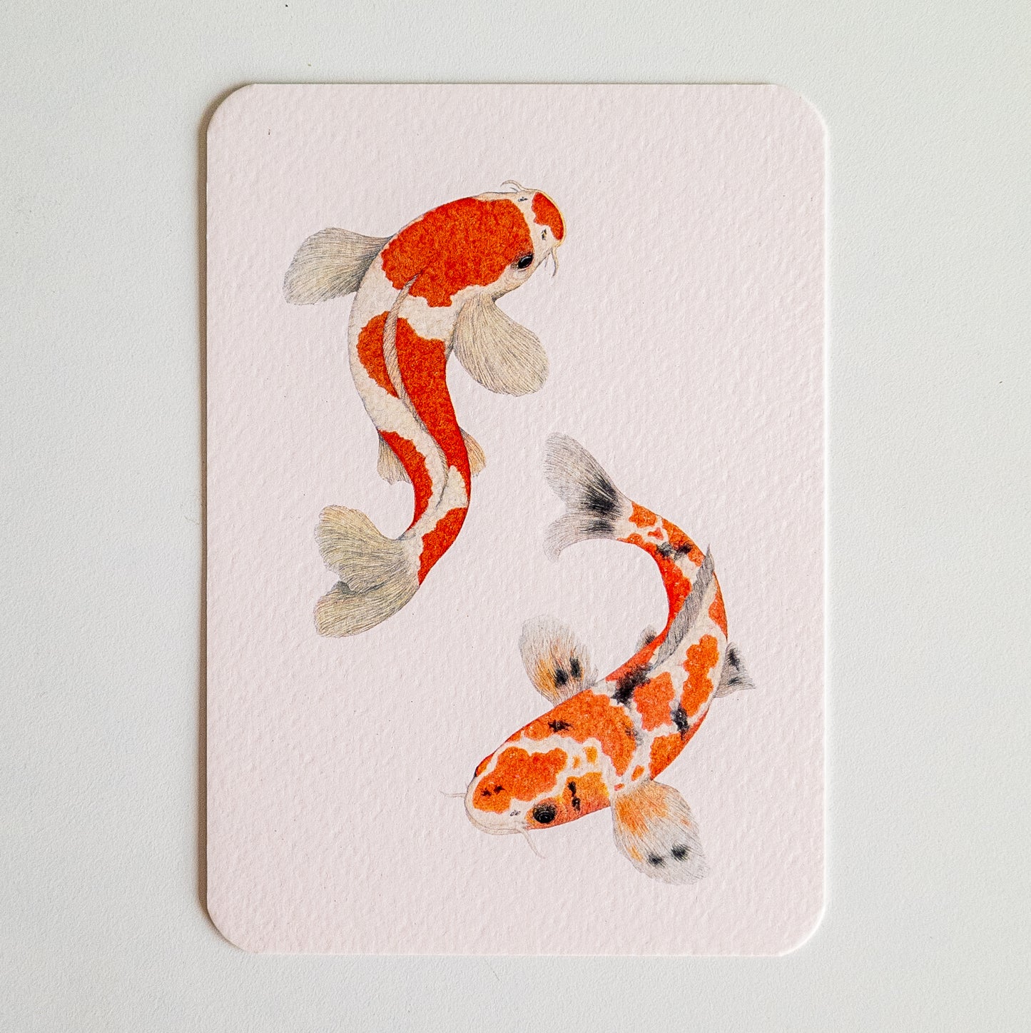 Postcard KOI ME CRAZY roze