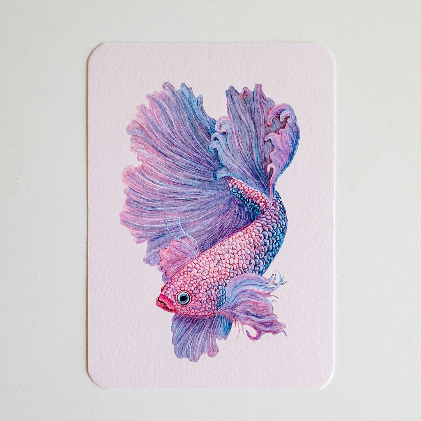 Postcard BETTA roze