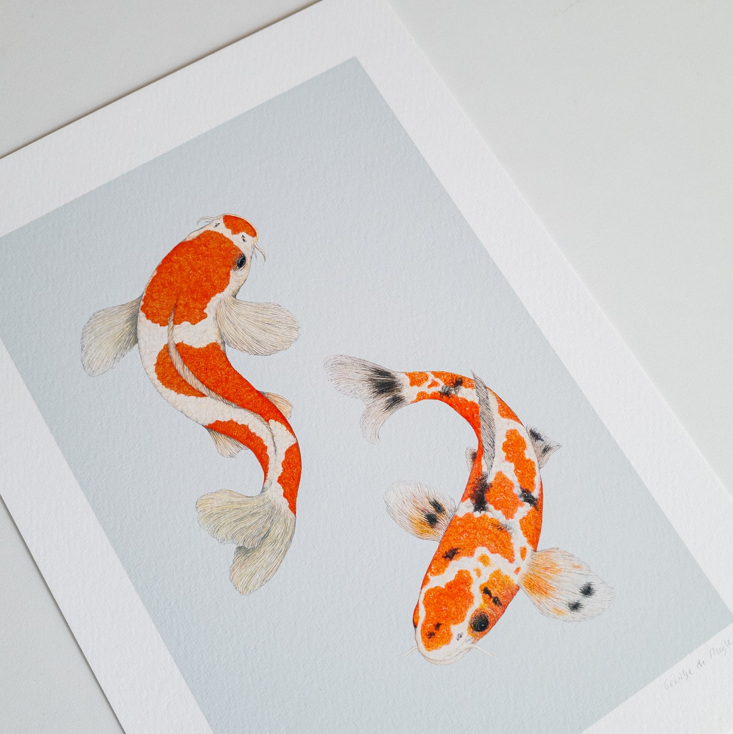 Fine art print KOI ME CRAZY