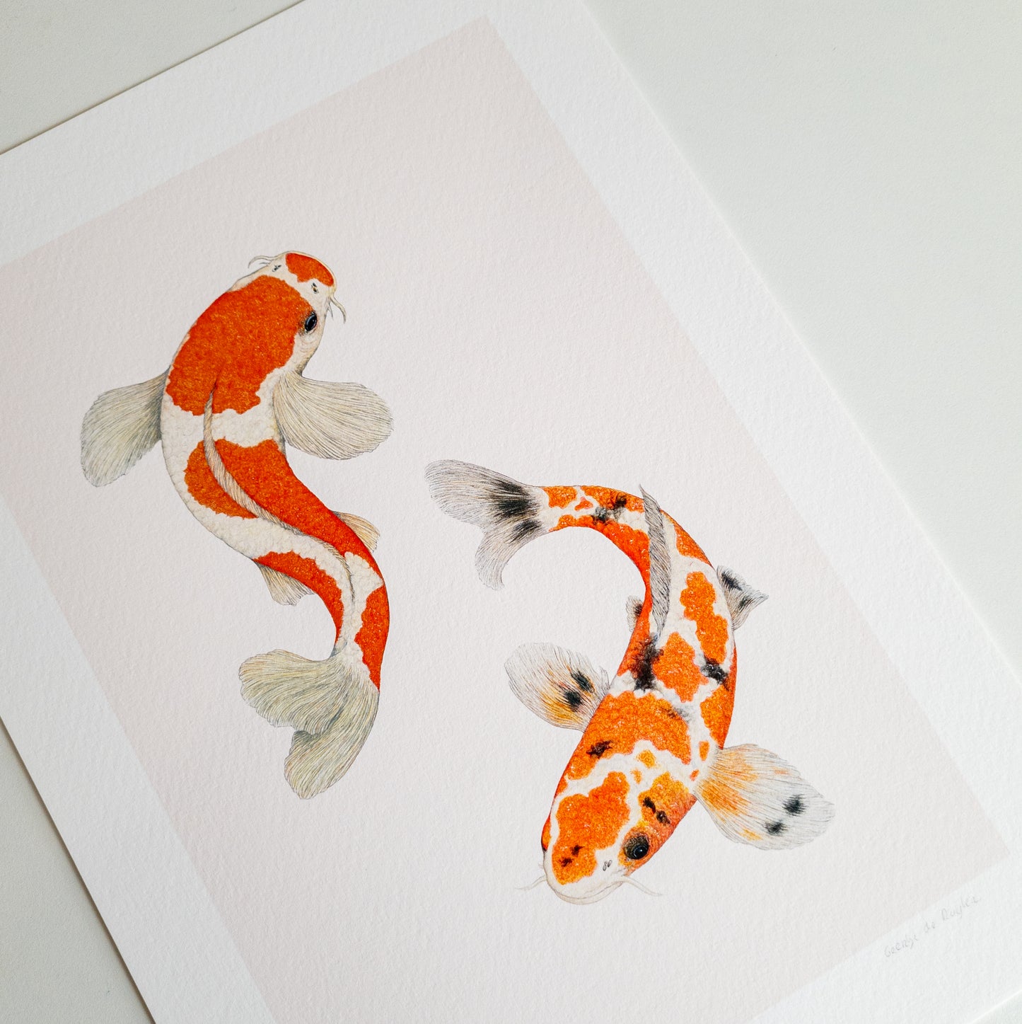 Fine art print KOI ME CRAZY