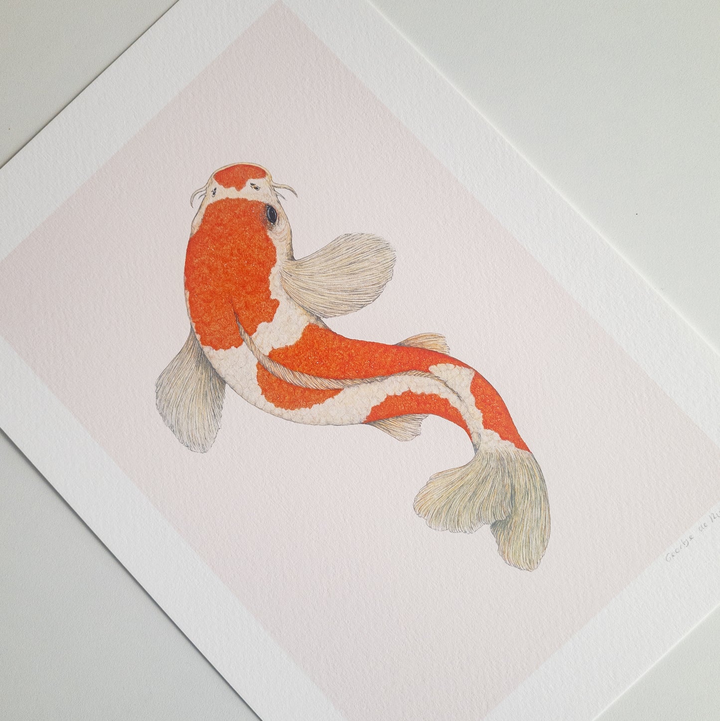 Fine art print KOHAKU KOI