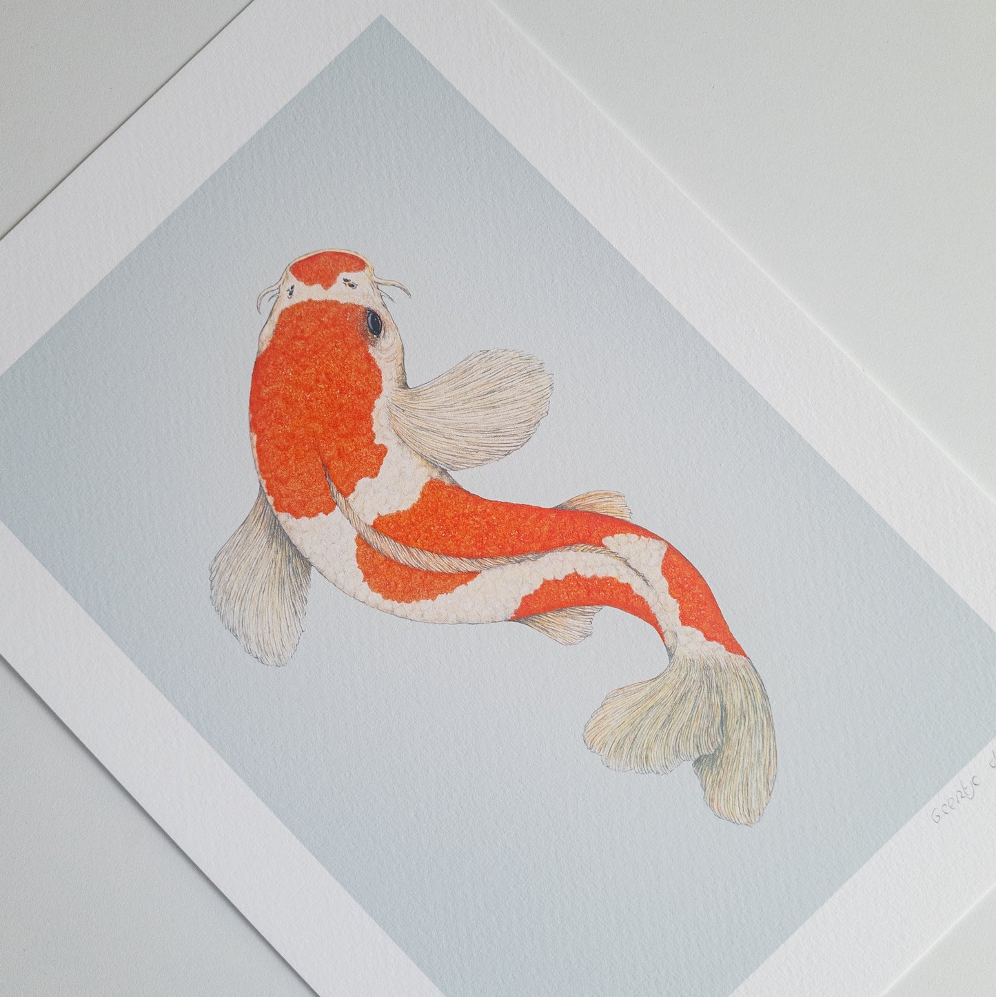Fine art print KOHAKU KOI