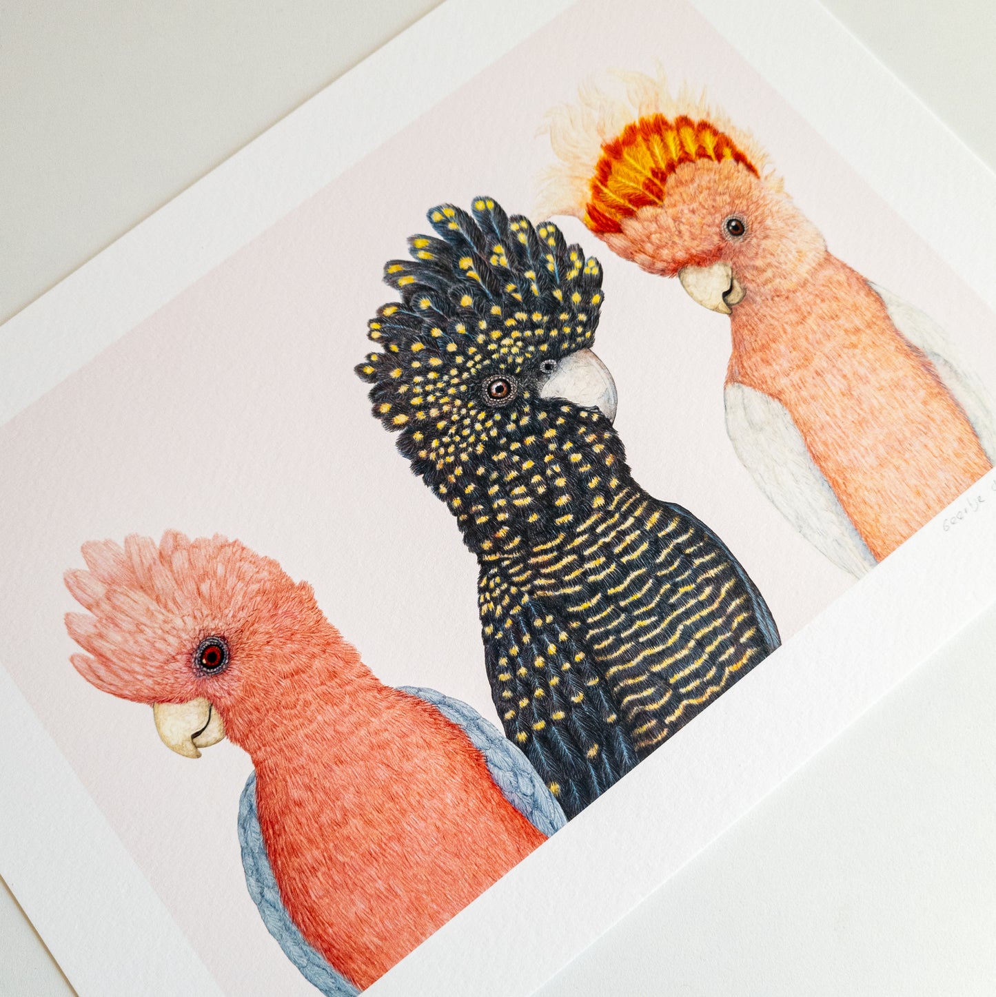 Fine art print A PARROT PARTY